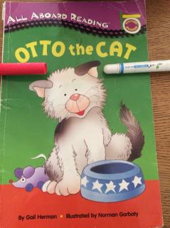 Otto the cat