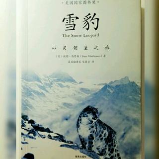 《雪豹》之归乡路：11月18日-酒酣热舞