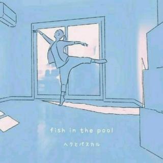 Fish In The Pool