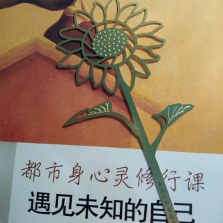 《背负重责大任的脑袋》25