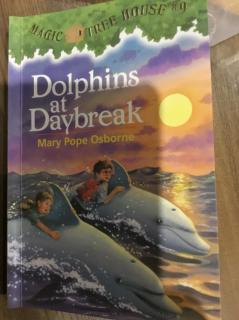 Dolphins at daybreak。5，6