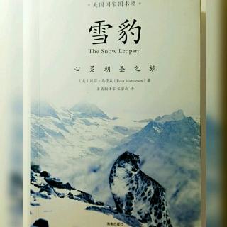 《雪豹》之归乡路：11月19日-与微笑擦肩而过