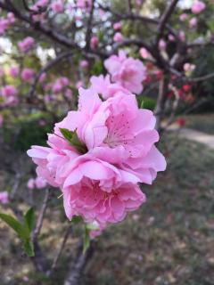 20180214如何打造朋友圈—飘絮