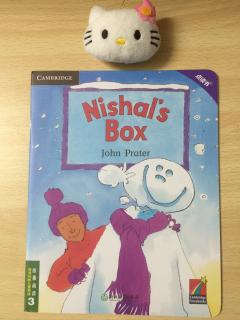 Nishal's Box