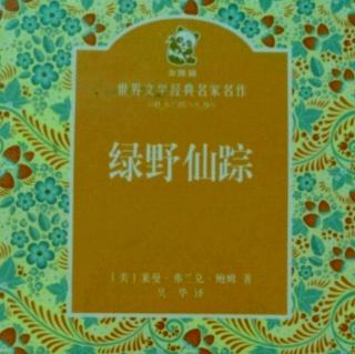 绿野仙踪  第二十三章    格琳达实现了多萝茜的愿望