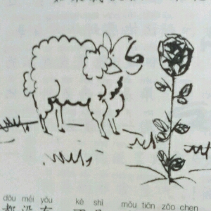 花儿与绵羊的战争重要吗