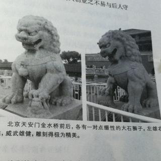 《中华十万个为什么》石狮子