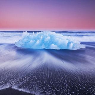 《为君十赋浣溪沙》——傲雪寒梅