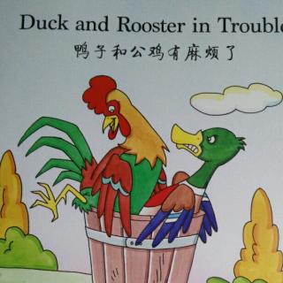 Duck and rooster in trouble