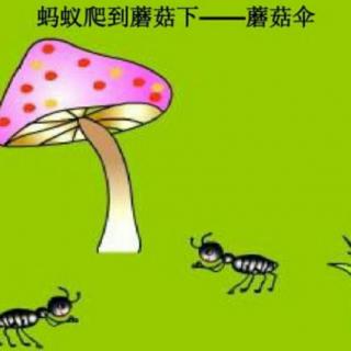 【晚安故事208】蘑菇伞🌂