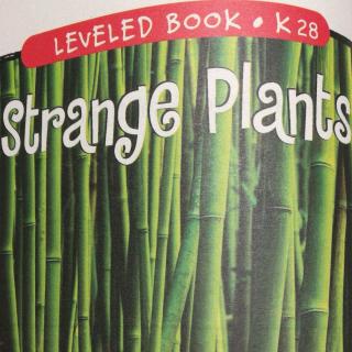 strange plants