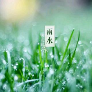 【节气2】雨水 Rain Water