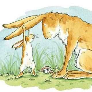 睡前故事｜大兔子和小兔子