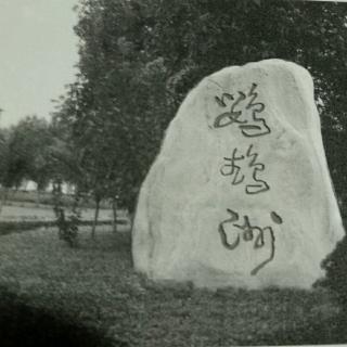 鹦鹉洲(李白)