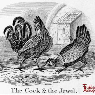 伊索寓言 - The Cock and the Jewel 