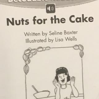 20180221nuts for the cake