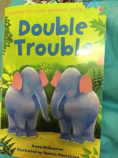 我的第一套英语图书馆Double Trouble