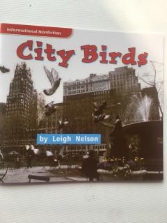 Audio662-52 City Birds. read by Daisy