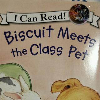 Biscuit  meets  the  class pet