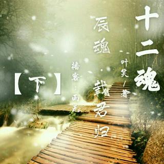 十二魂辰魂载君归下by叶笑
