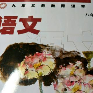 八下九 巢谷传 朗读及口译