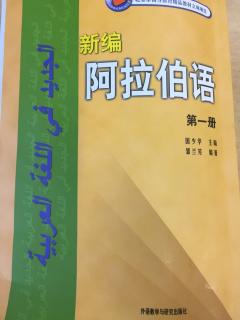 中國外交部長訪問埃及