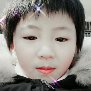 《小贝壳》–王宜振