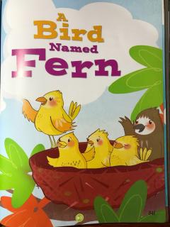 A bird named Fern