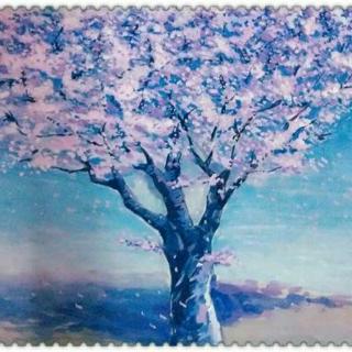 读一首诗《一棵开花的树》——席慕蓉