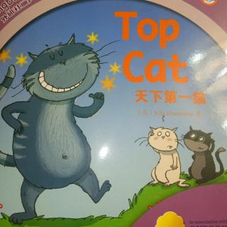 Top Cat-2月23日