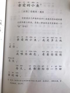 亲爱的小鱼