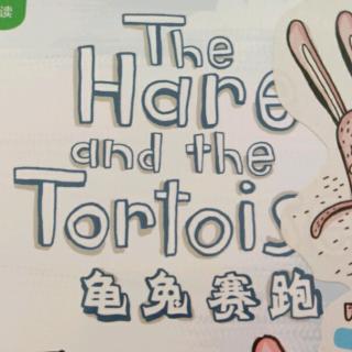 The  Hare  and  Tortoise