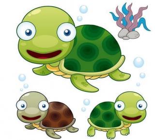 《小乌龟🐢挖水沟》
