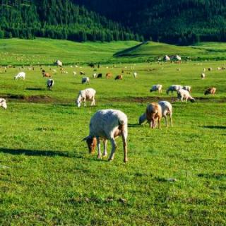 再见了，我那远去的小山村