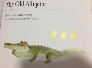 20180224 *13 The Old Alligator