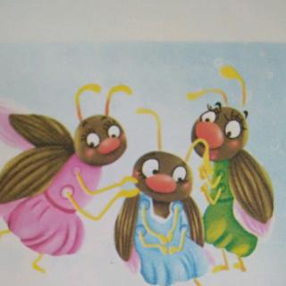 新城幼儿园绘本故事《甲虫》