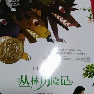 《丛林历险记》第4章国王的驯象棒（下）