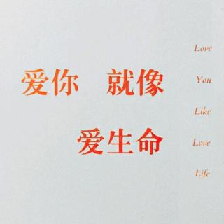 爱你就像爱生命―2