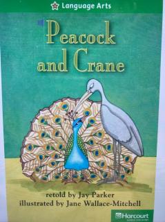 Richard-2月指定01-Peacock and Crane