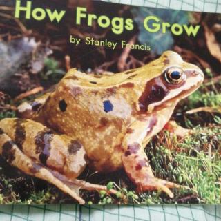 how frogs grow