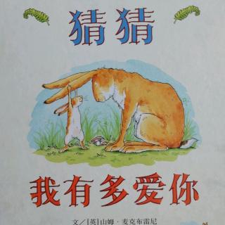 猜猜我我有多爱你