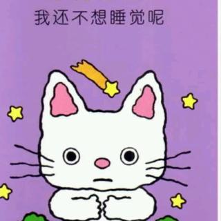 小猫当当(我还不想睡觉呢)