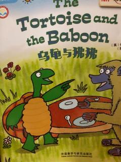 The tortoise and the baboon