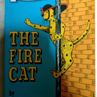 The fire cat