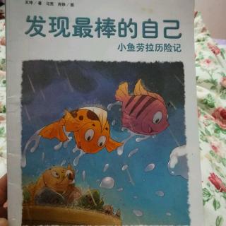 小鱼🐠劳拉历险记