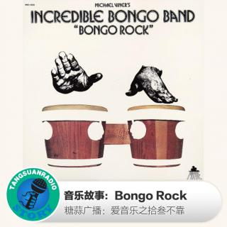 糖蒜爱音乐之音乐故事：Bongo Rock