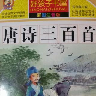 《独坐敬亭山》《竹枝词》《赠汪伦》