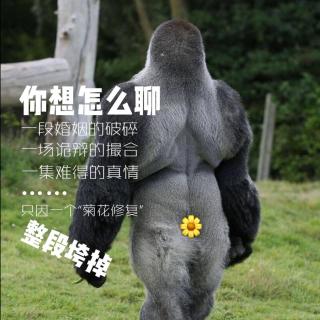 本期无主题 一切佛系随缘聊 温情的第三调解室秒变笑炸整段垮掉