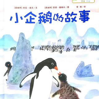 《小企鹅的故事》01