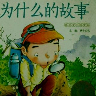 《燕子是怎样筑巢的》